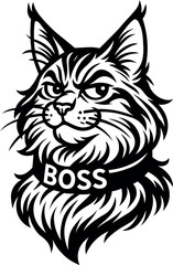 Fototapeta premium Cute Maine Coon cat with Boss collar