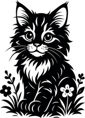 Longhair Maine Coon kitten sitting on grass