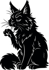 Maine Coon grooming its paw in seated pose 