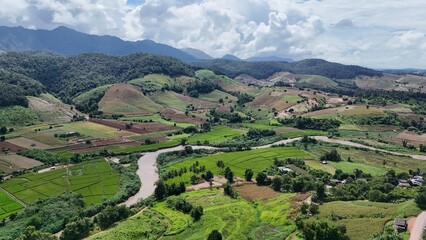 Peaceful mountain valley with vibrant green paddy fields under a cloudy sky.