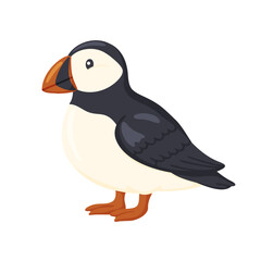 Cute Atlantic Puffin Isolated Illustration