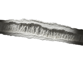Macro torn white paper on transparent background. Raking light shows intricate frayed fibers, pulp, texture, evoking scientific precision and natural textures concept