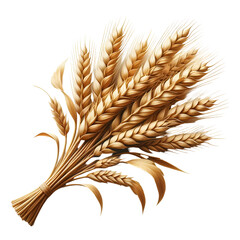 Ripe ears of wheat isolated on white background