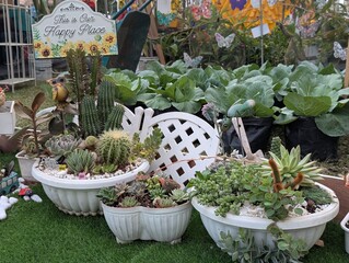 Arrangement of succulents with cute decorations in a garden