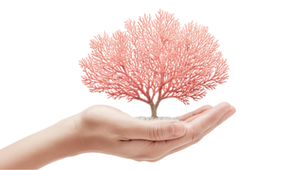 Conceptual Tree in Hand: Hope and Growth, Isolated on White