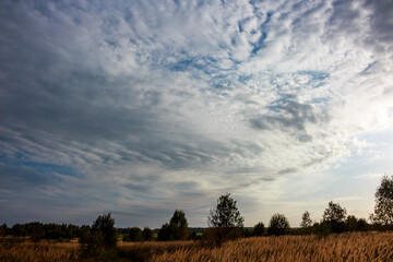 Obraz premium Dynamic clouds paint a dramatic, wide-open sky over a tranquil golden field and distant trees, showcasing nature's beauty and vastness