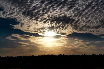 Majestic sky ablaze with golden sun rays piercing through textured altocumulus clouds above a dark forest line. Breathtaking twilight vista