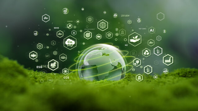 Crystal ball on moss with icons in green forest - environment esg concept, ecology and sustainable environment of the world. Eco-friendly green business. ecology, earth day, csr and net zero
