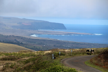 Panoramic view of the coastal landscape on Rapa Nui-Easter Island, Chile, South America