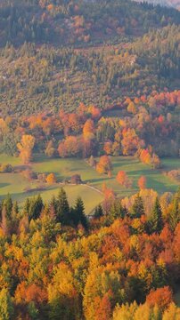 Vertical view showing colorful trees in foreground with open fields and distant mountain ridge