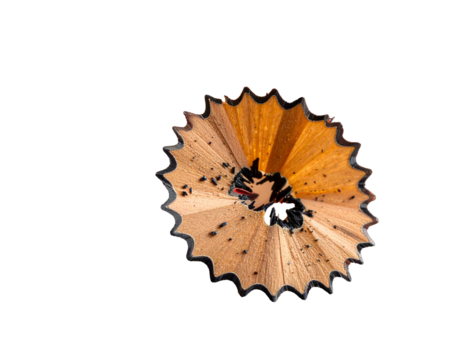 Close-up of pencil shaving against black, with wood grain and graphite visible