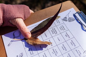Three leaves held by parents hand on nature discovery scavenger hunt bingo game
