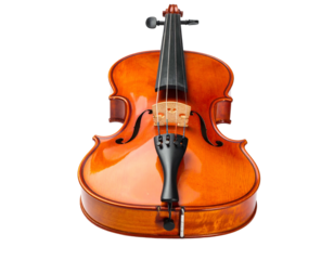 Gleaming wooden string instrument, violin, isolated against a solid black backdrop