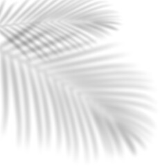 Obraz premium Movement realistic shadow leaves sunshade isolated on transparent backgrounds rendering png leaf shadow overlay effect. background with tropical leaves shadows.Shadow effects PNG