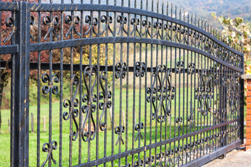 Ornamental Wrought Iron Fence. Metal Fence