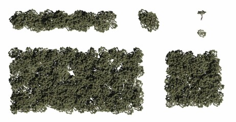 trees in the forest, top view, area view, isolated on white background, 3D illustration, cg render
