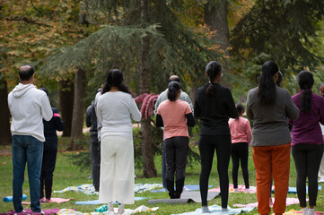 Back view of people breathing, meditation and yoga with people in park for holistic exercise or wellness routine.