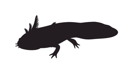 Axolotl silhouette black outline amphibian aquatic salamander unique amphibian creature pet animal wildlife aquatic life isolated on white background