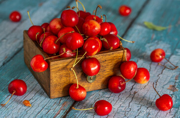 Still life with ripe and delicious red cherries.
