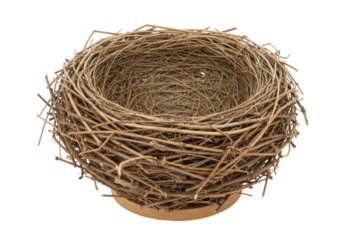 Isolated close-up view of a bird's nest woven with twigs resting on a small base for display