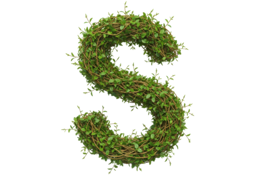 Isolated ornamental letter S, natural plant design featuring a vine wreath texture