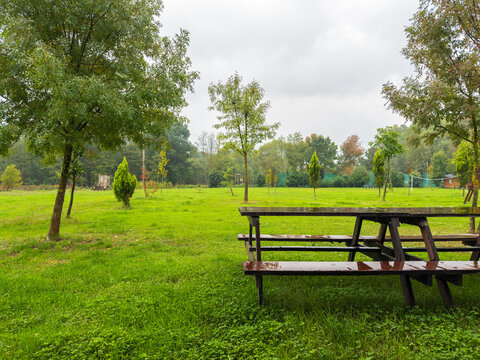 Empty wooden picnic table on a wet, green lawn in a park on a cloudy day