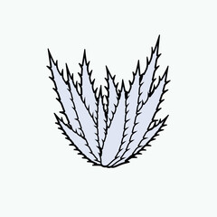 Aloe Vera Icon. Herb Plantation, Gel. A gelatinous substance used especially in cosmetics to soften or soothe the skin..