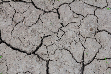 Dry cracked earth highlights the effects of drought on soil health and agriculture in the rural landscape during summer