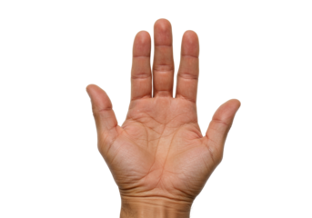Isolated human hand palm up with fingers wide open in front view against blank space