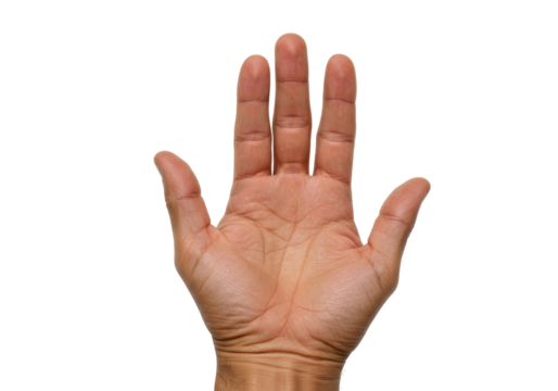 Isolated human hand palm up with fingers wide open in front view against blank space
