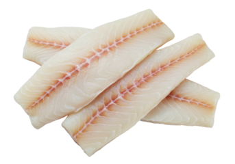 Isolated fresh cod fillets ready for cooking in a restaurant or for a healthy family dinner