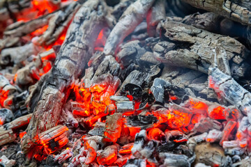 Bright glowing embers of a campfire surrounded by ash in a serene outdoor setting during twilight