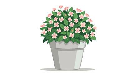 Beautiful potted plant with delicate pink flowers and lush green leaves, perfect for home decor.