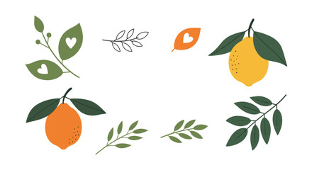 Vibrant Citrus Fruits and Green Leaves Collection.