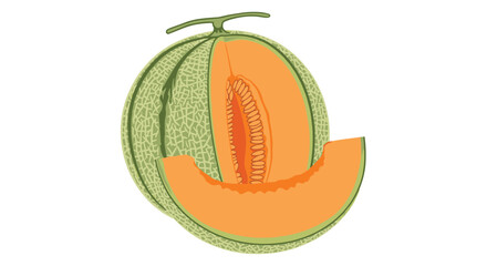 Fresh Cantaloupe Melon with a Slice Removed, Revealing Juicy Orange Flesh and Seeds.