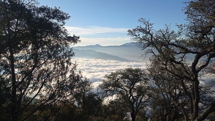mirador cuatro palos