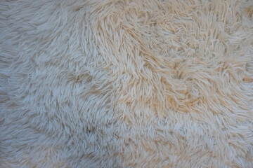 Close-up of soft shaggy beige carpet texture