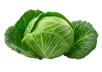 Obraz premium Vibrant Green Cabbage Head isolated on a transparent background