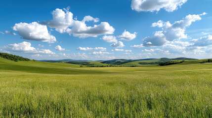 Obraz premium Lush green hills under soft clouds create serene and open mood in countryside