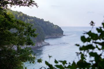 Aerial view of the sea and mountain landscape through the foliage of trees