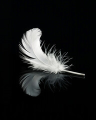 Obraz premium Delicate white feather on glossy black glass with soft reflection. Surreal minimal contrast concept