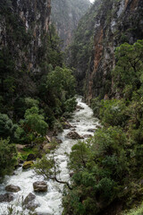 Fardi river gorge, Akchour, talambote, Morocco, North Africa