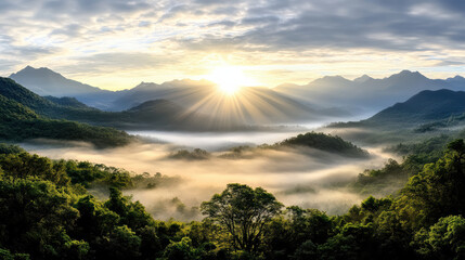 Obraz premium Soft golden mist in valley village, peaceful morning light illuminates landscape