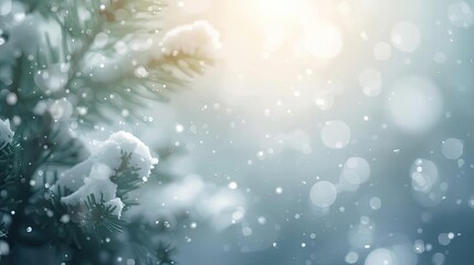 Winter Snowfall Background with Pine Branches and Soft Sunlight