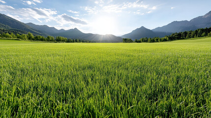 Fototapeta premium Lush green grass field under bright sun with mountains in background creates serene atmosphere