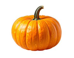 Vibrant orange squash with textured rind and curved green stem, isolated on black