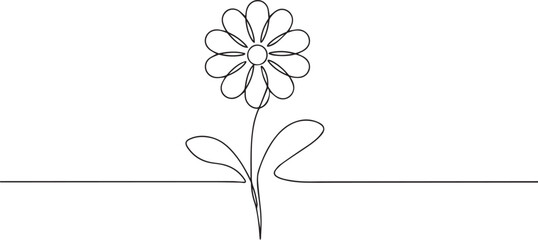 Daisy flower one continuous line art, Vector illustration, One line art, Line art graphic style