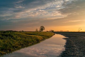 Rural landscape at sunset with a dirt road and a puddle reflecting the sky. Warm golden light illuminates the grass and clouds, creating a calm and peaceful countryside atmosphere.