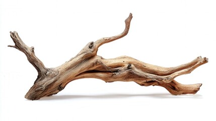 Driftwood branch isolated on white background