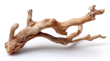 Driftwood branch isolated on white background
